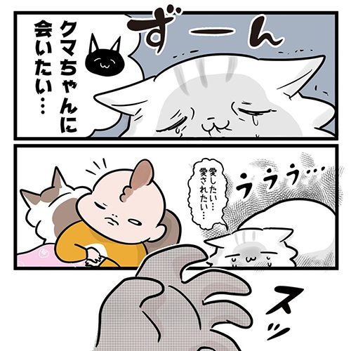  猫だって愛したい6