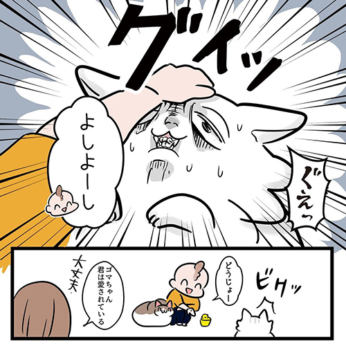  猫だって愛したい7