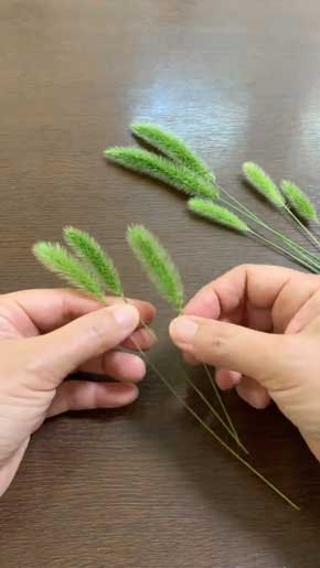 エノコログサ ねこじゃらし かわいい 穂 ウサギ 作り方