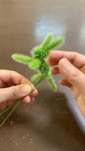 エノコログサ ねこじゃらし かわいい 穂 ウサギ 作り方