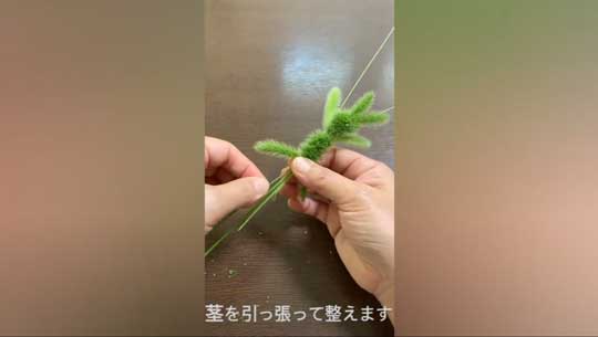 エノコログサ ねこじゃらし かわいい 穂 ウサギ 作り方