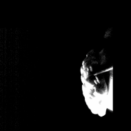 メロンパン製 マスク マスクパン 匂い 飛沫防止