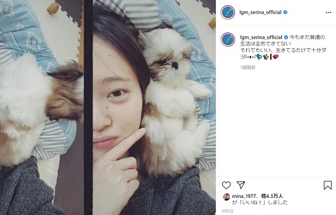 芹奈 Little Glee Monster 休養 復帰