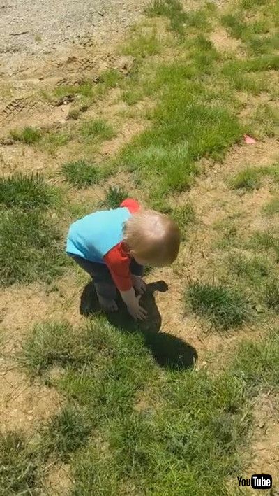 「Toddler Discovers Her Shadow || ViralHog」