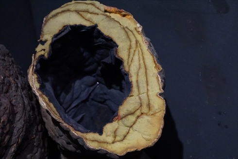 ゴジラ 大ゴジラ特撮王国，