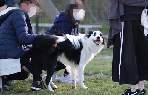 嬉しそうなマロくん