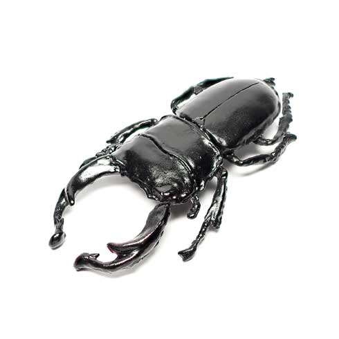 オオクワガタ イヤリング 耳を挟まれる ハンドメイド 作品 Nina