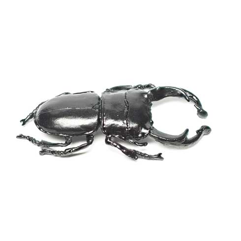 オオクワガタ イヤリング 耳を挟まれる ハンドメイド 作品 Nina