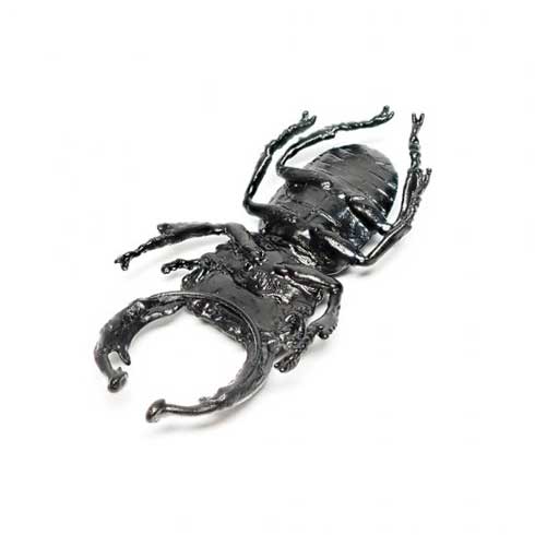 オオクワガタ イヤリング 耳を挟まれる ハンドメイド 作品 Nina