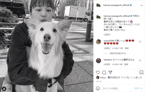 川口春奈 ドラマ 着飾る恋には理由があって ボーダーコリー 犬 こうじ 二重顎 インスタ