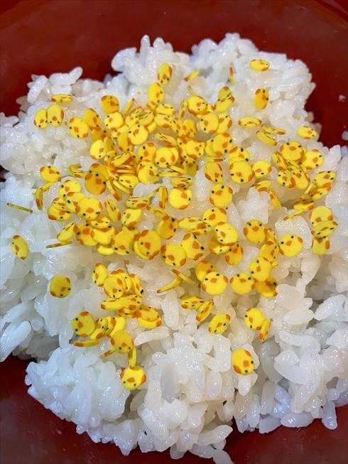 のりたま ひよこ ひよこチップ，