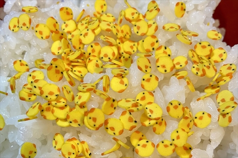 のりたま ひよこ ひよこチップ，