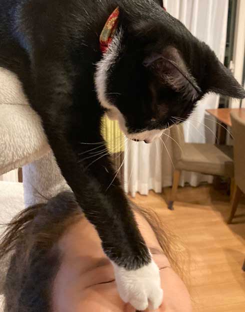 猫 鼻フック 娘 面白 ハプニング 仲良し