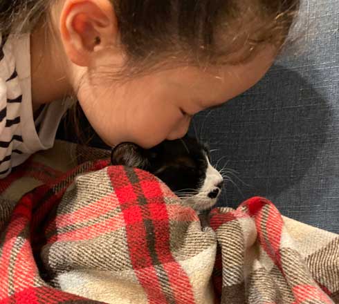 猫 鼻フック 娘 面白 ハプニング 仲良し