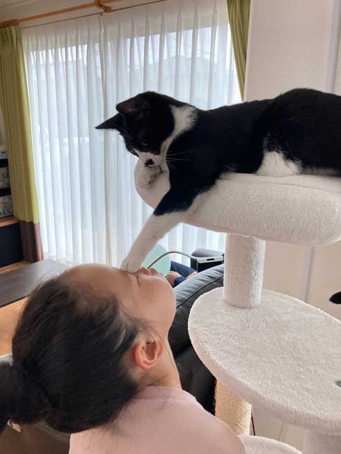猫 鼻フック 娘 面白 ハプニング 仲良し