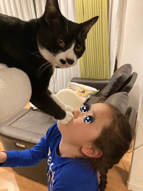 猫 鼻フック 娘 面白 ハプニング 仲良し