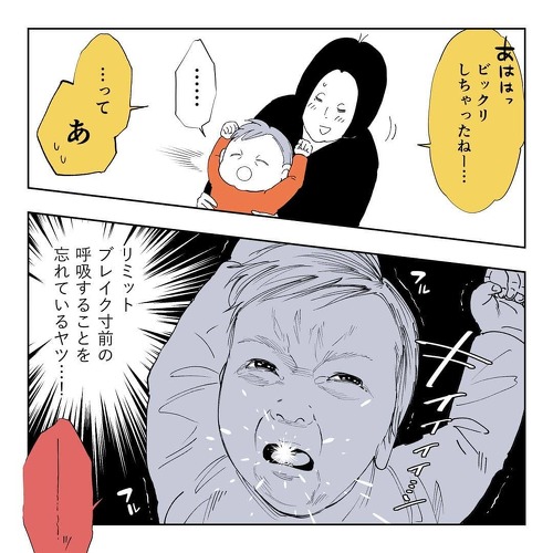 初めて実家の猫に会う