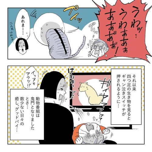 初めて実家の猫に会う