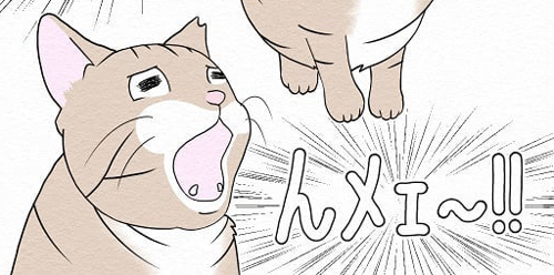 夜鳴き切り抜き