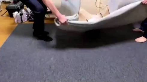 猫 つむぎちゃん お片付け どいてくれない