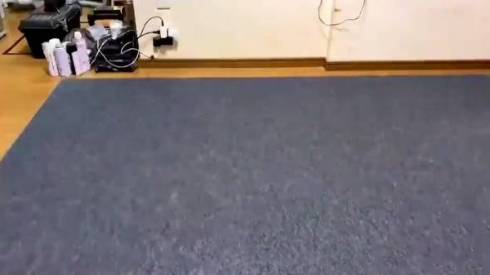 猫 つむぎちゃん お片付け どいてくれない