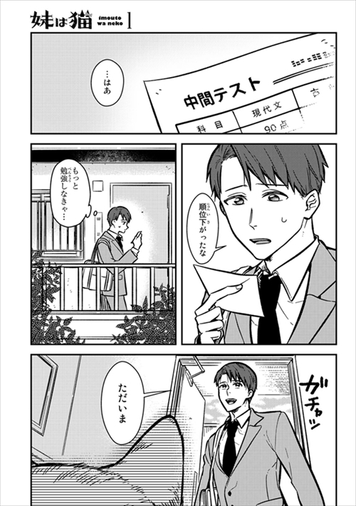 猫の妹がいる高校生男子
