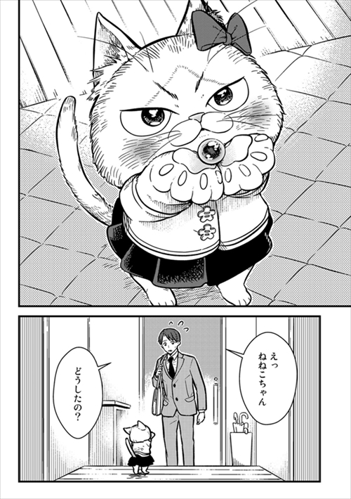 猫の妹がいる高校生男子
