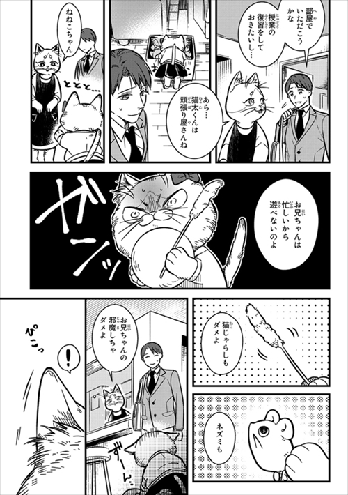 猫の妹がいる高校生男子