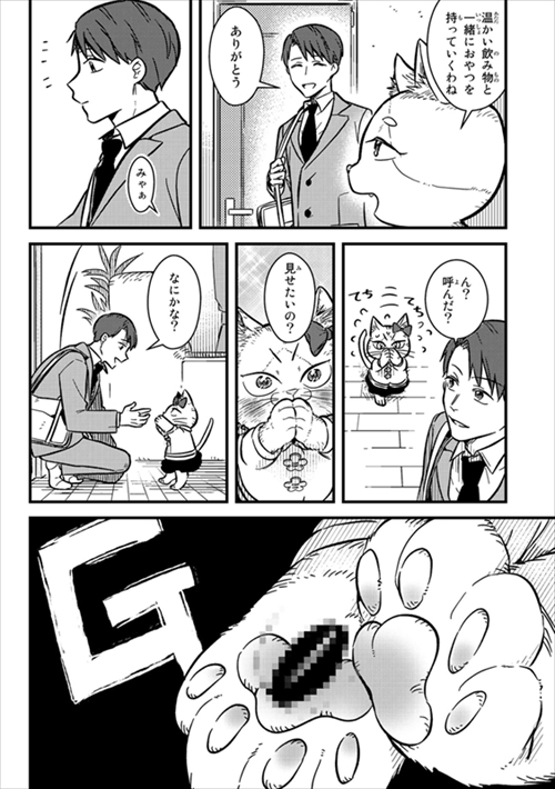 猫の妹がいる高校生男子