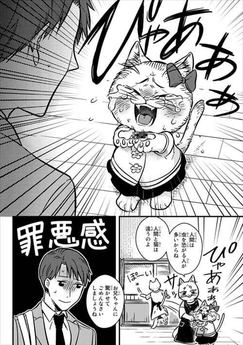猫の妹がいる高校生男子