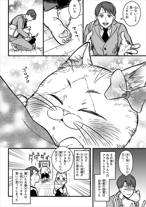 猫の妹がいる高校生男子