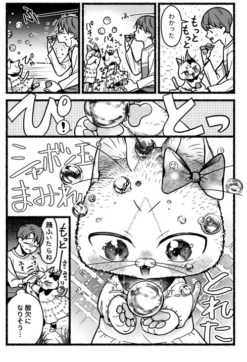 猫の妹がいる高校生男子