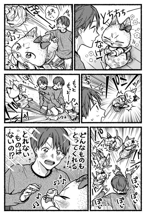 猫の妹がいる高校生男子