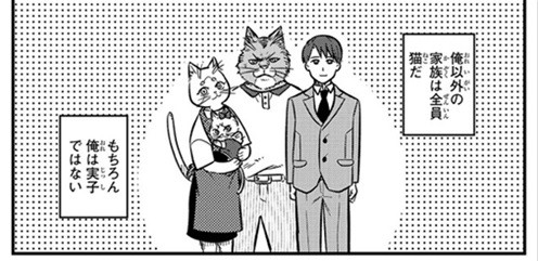 猫の妹がいる高校生男子