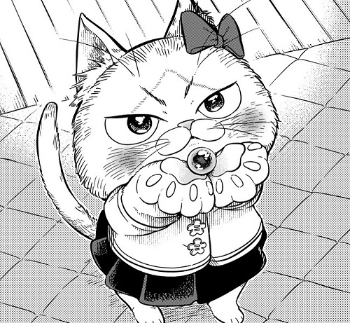 猫の妹がいる高校生男子