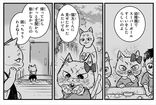 猫の妹がいる高校生男子