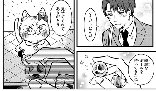 猫の妹がいる高校生男子