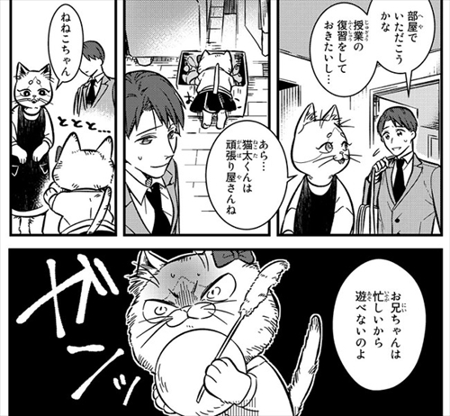 猫の妹がいる高校生男子