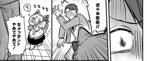 猫の妹がいる高校生男子