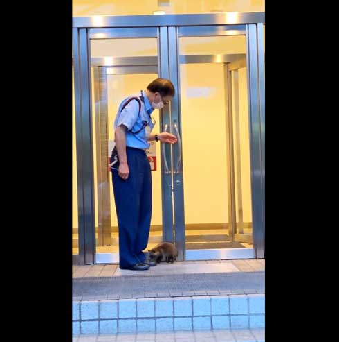 世田谷美術館 タヌキ 赤ちゃん 訪問客 警備員 砧 きぬた