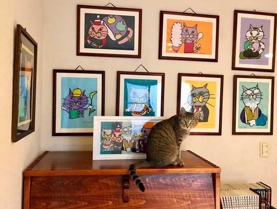 猫 Nクール ニトリ 寝顔 なみそ