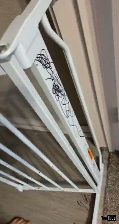 「Little Girl Uses Marker And Scribbles On Herself And Things Around Her - 1199924」