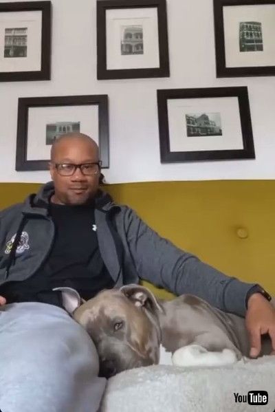 「Magic Word Wakes Doggie from Deep Sleep || ViralHog」