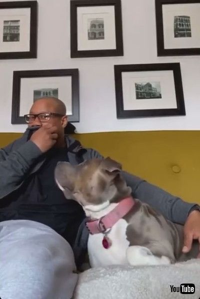 「Magic Word Wakes Doggie from Deep Sleep || ViralHog」