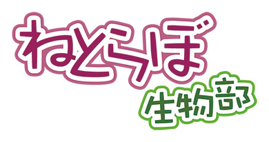 ねとらぼエンタ ライター 募集