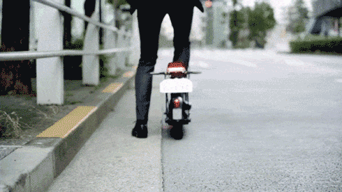 Segway-Ninebot J-MAX