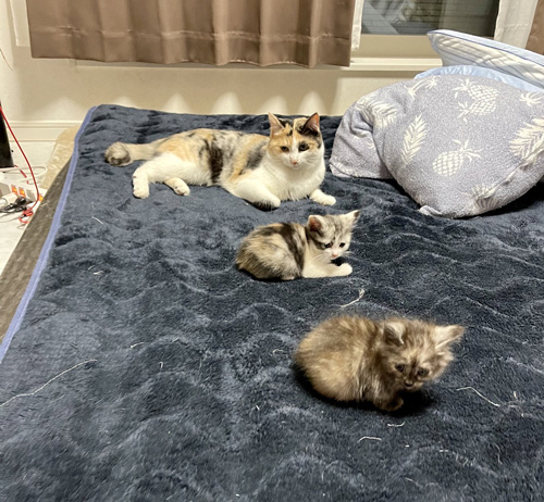 ソーシャルディスタンス