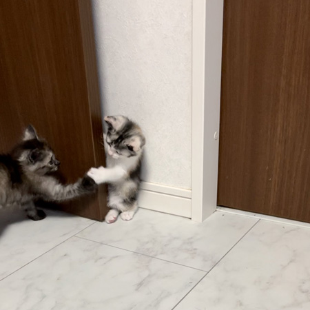 感染症対策ばっちり