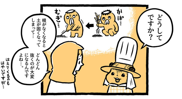 こぐまのケーキ屋さん