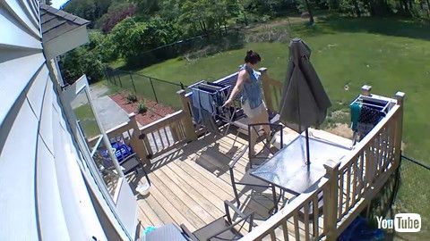 「Doggy Needs to Be Dragged in From Sunbathing || ViralHog」